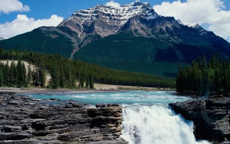 高标准创意高效